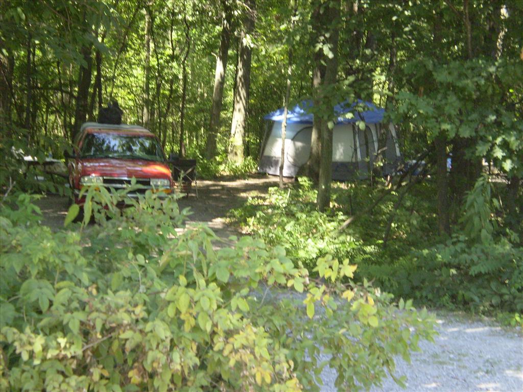 Park Photo Album